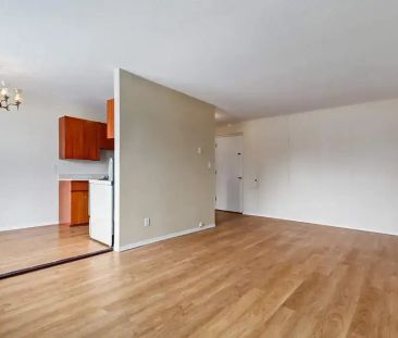 1 Bedroom - Photo 4