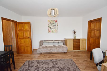 Hajdú-Bihar megye, Debrecen - Fotó 5