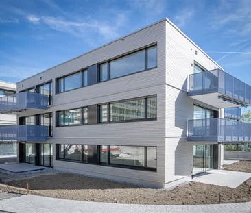 3.5 Zimmer, EG - Photo 6