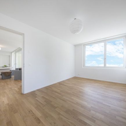 2.5 Zimmer, 54 m², 1. Stock - Photo 1