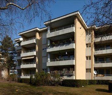 "Herbsttage auf dem sonnigen Balkon verbringen?" - Photo 3
