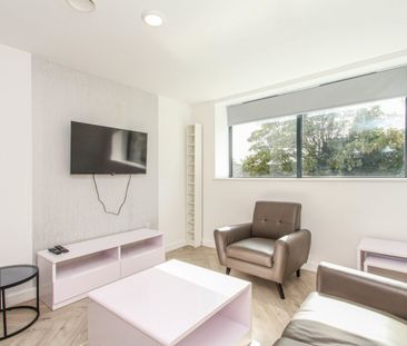 1 bed Shared Flat for Rent - Photo 2