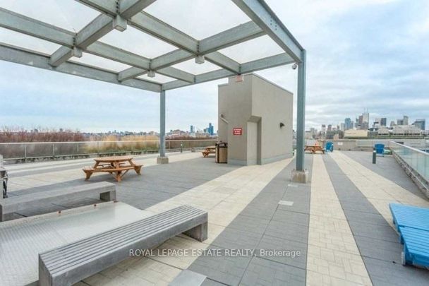 DNA I Lofts - Photo 1