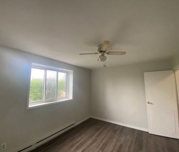 One Bedroom Apartment - Photo 3