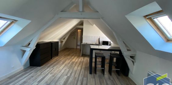 Location Appartement 1 pièce 18m² - Photo 3