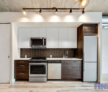 River landing - 1 Bedroom/1 Bathroom - 503 490 2nd Avenue - Photo 3