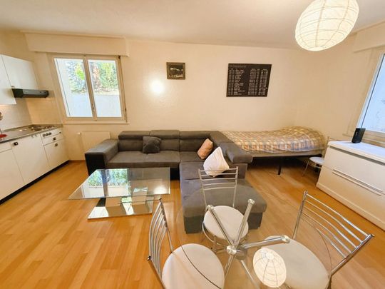 Sehr geräumig und helles 1.5-Zimmer-Appartement - Ideal gelegen - Ruhige Lage - Foto 1