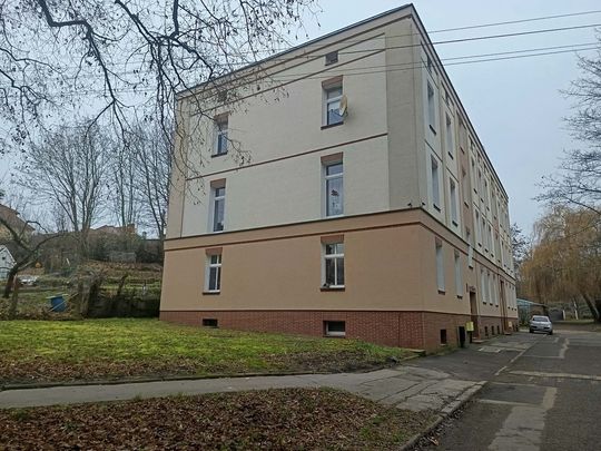 Wynajem - 2 przestronne pokoje po remoncie - Фото 1