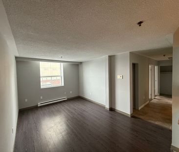 One Bedroom Apartment - Photo 4