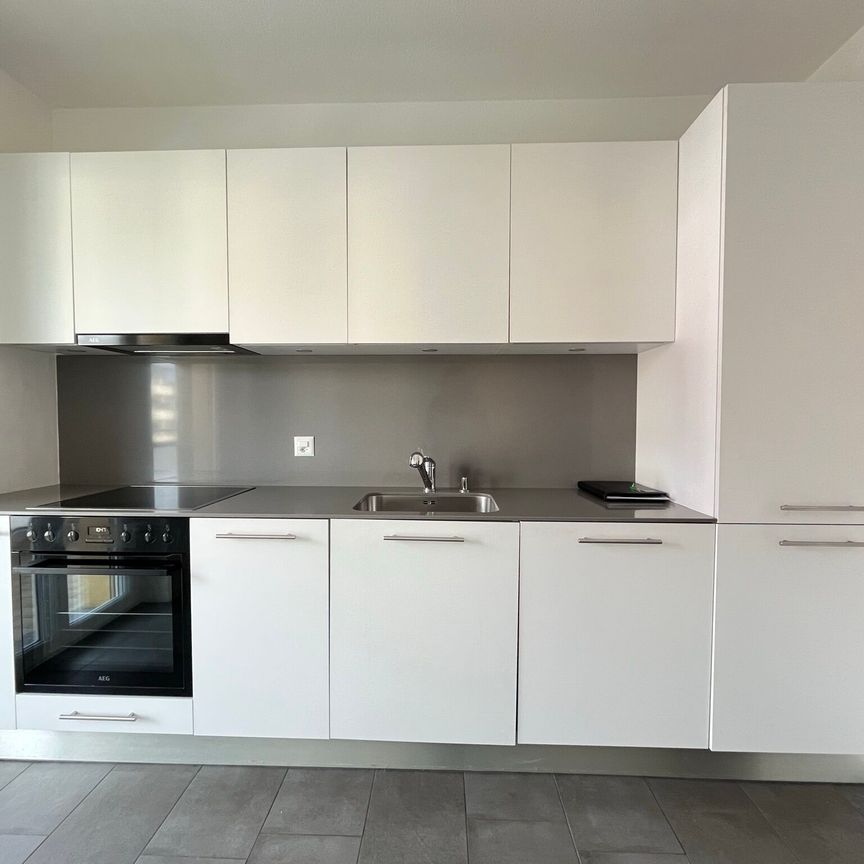BELLINZONA, Zu vermieten renovierte 2½ Zimmerwohnung - Foto 1