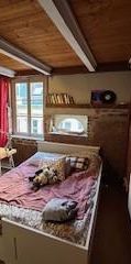 Location Appartement 1 pièce 25m² LILLE 59800 - Photo 1