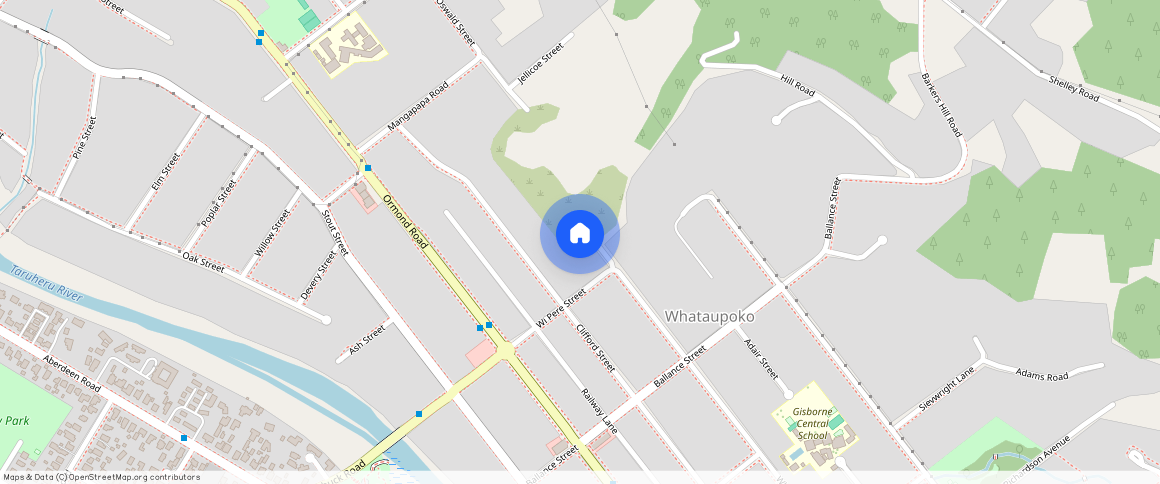 ** Whitaker Street, Mangapapa