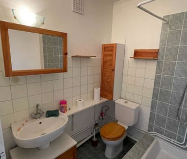 Location Appartement 2 pièces 47m² LINGOLSHEIM 67380 - Photo 3