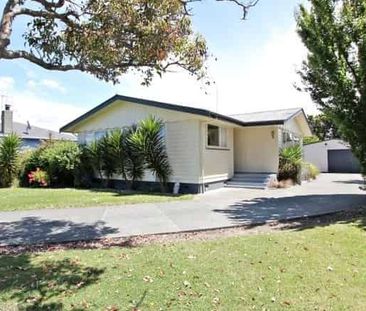 Sunny Family Home - Photo 1