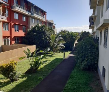Location Appartement 1 pièce 20m² ST PIERRE 97410 - Photo 4