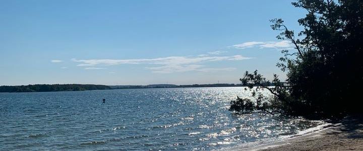 Frau sucht Wohnung in HH-West - Photo 1