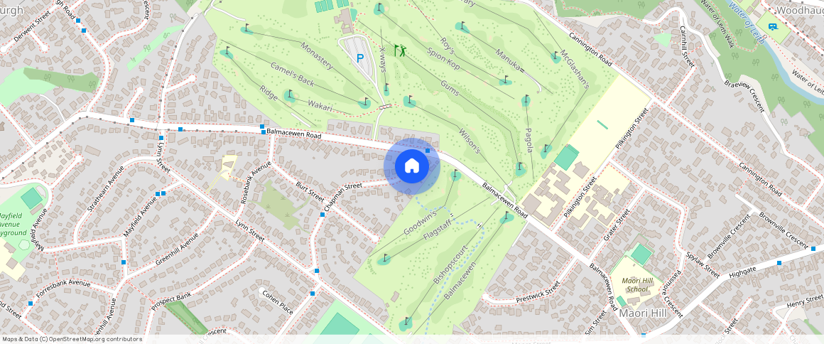 ** Chapman Street, Wakari