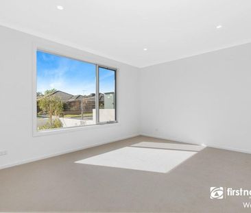 Don't Be Jelly!! - Photo 5