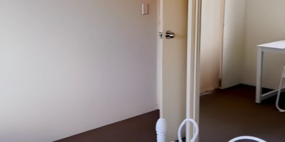 2 beds 1 bath - Photo 3