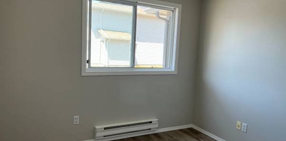 2 bdrm Apartment w/Washer/Dryer in Unit, Top Floor Corner Suite! - Photo 2