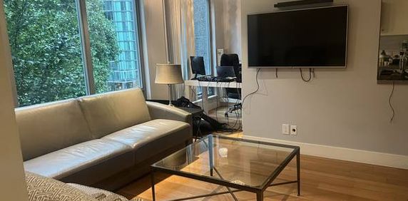 Furnished 1 Bed Condo Downtown Vancouver ** DECEMBER ONLY ** - Photo 2