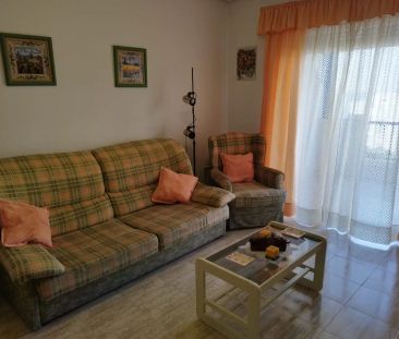 Elche / Elx - Photo 6