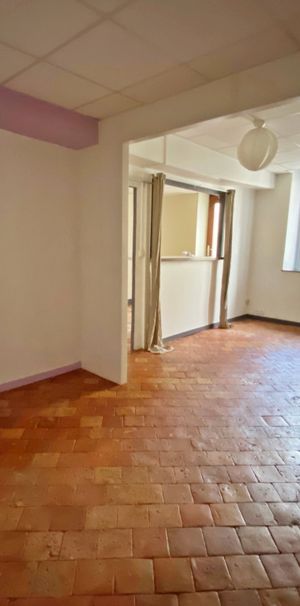Location Appartement 2 pièces 64m² CHATEAUNEUF SUR LOIRE 45110 - Photo 1