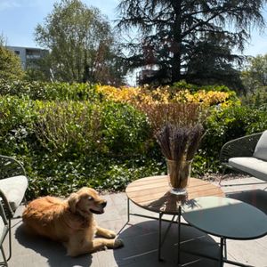 Superbe appartement de standing - Photo 2