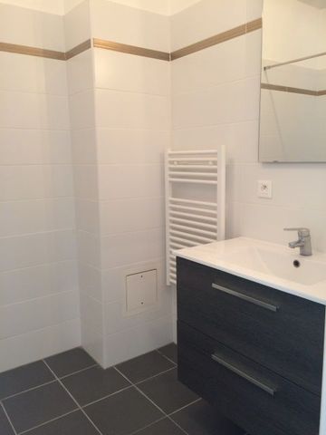 Location Appartement 1 pièce 22m² DAMMARTIN EN GOELE 77230 - Photo 3