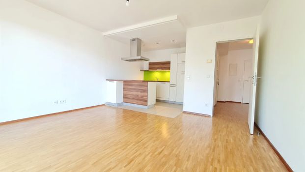 Wohnen bei der Donau im 19. Bezirk - Wohnung mit Balkon - Photo 1