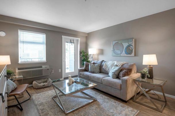 One Bedroom One Bath - Photo 1