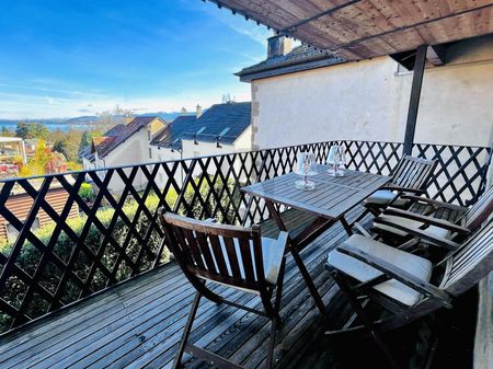 INCROYABLE DUPLEX HISTORIQUE AVEC VUE LAC - Photo 5