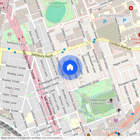 39 Hopetoun Street, Camperdown NSW 2050