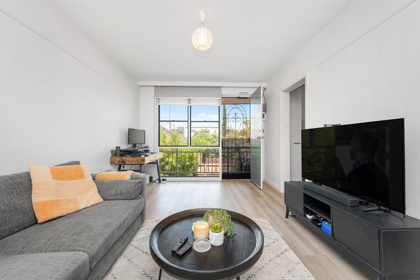 8/2 Selwyn Avenue, Elwood VIC 3184 - Apartment For Rent | Domain - Photo 1