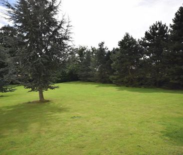 4 bedroom detached house to rent - Photo 6