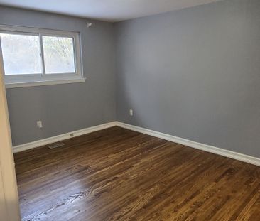 For Lease - 43 Braemar Drive, Brampton, Ontario - Photo 3