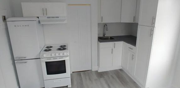 132 Rue De Notre-Dame-De-I'île (Hull) Studio Près D'Ottawa - Photo 2