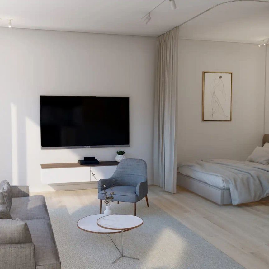 Pas gerenoveerde studio met aparte slaaphoek en ruim terras - Photo 1