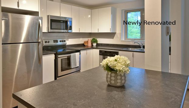 Elroy Apartments - Photo 1