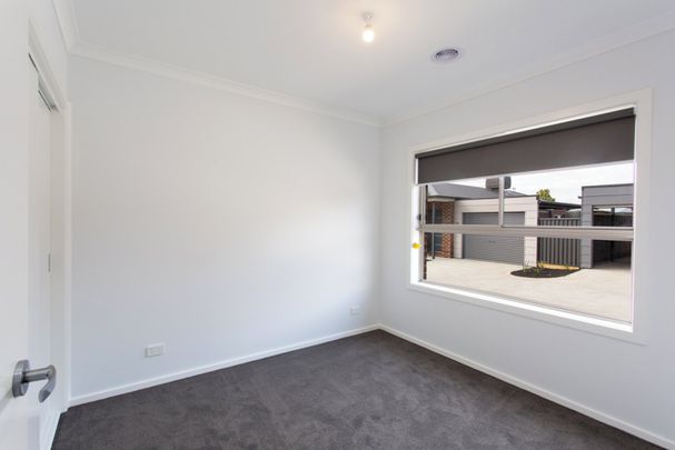 LOW MAINTENANCE UNIT IN SEBASTOPOL - Photo 1