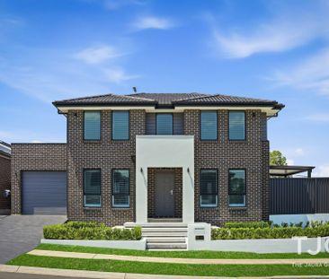 Modern Corner-Lot Living in a Prime Box Hill Pocket - Photo 5