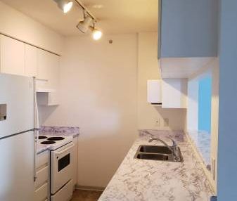 Beautiful 1 bed condo in high rise near Joyce Collingwood station - Photo 4