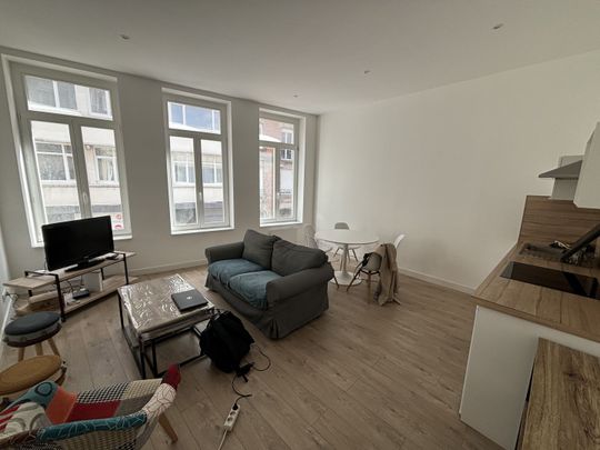 Location Appartement 2 pièces 41m² LILLE 59000 - Photo 1