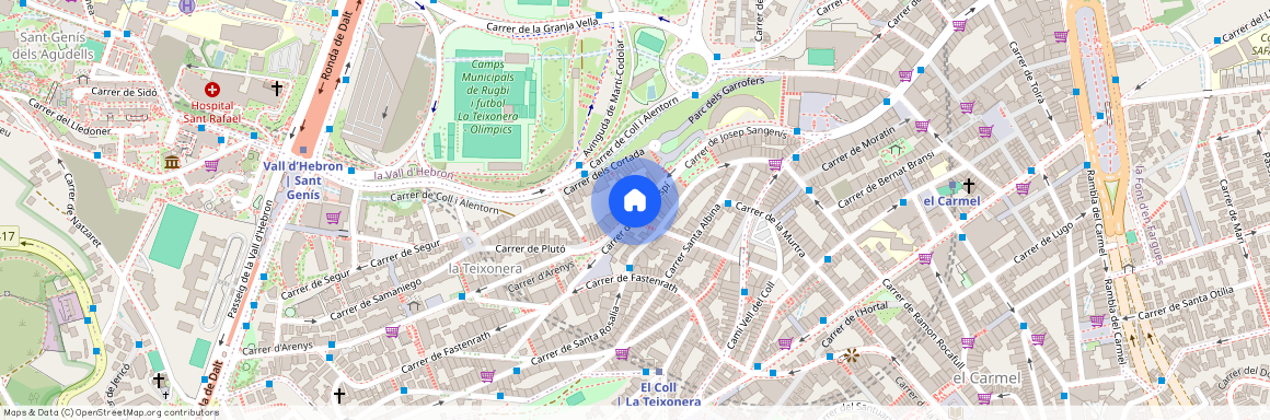 Carrer de Josep Sangenís, Barcelona, Catalonia 08035