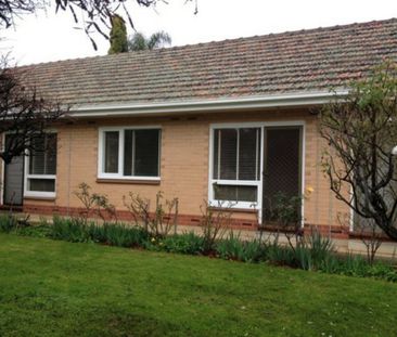 2/434 Magill Road, Kensington Gardens - Photo 4