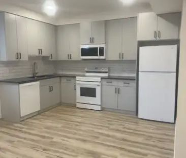 NEW BSMT SUITE | 1 BED & 1 BATH | TREE LINED STREET IN HIGH PARK! |... - Photo 1