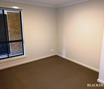 58a Lionel Rose Street, Holt ACT 2615 - Apartment For Rent | Domain - Photo 3