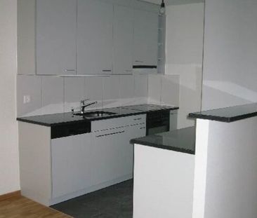 Has the garden become too big for you - Photo 2