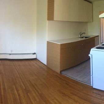 Renovated 2 Br+2 full bath Suite in Kitsilano! - Photo 3