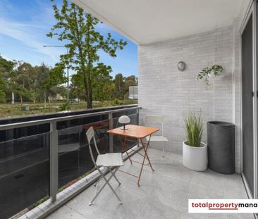 19/219A Northbourne Avenue, Turner ACT 2612 - Apartment For Rent | ... - Photo 3